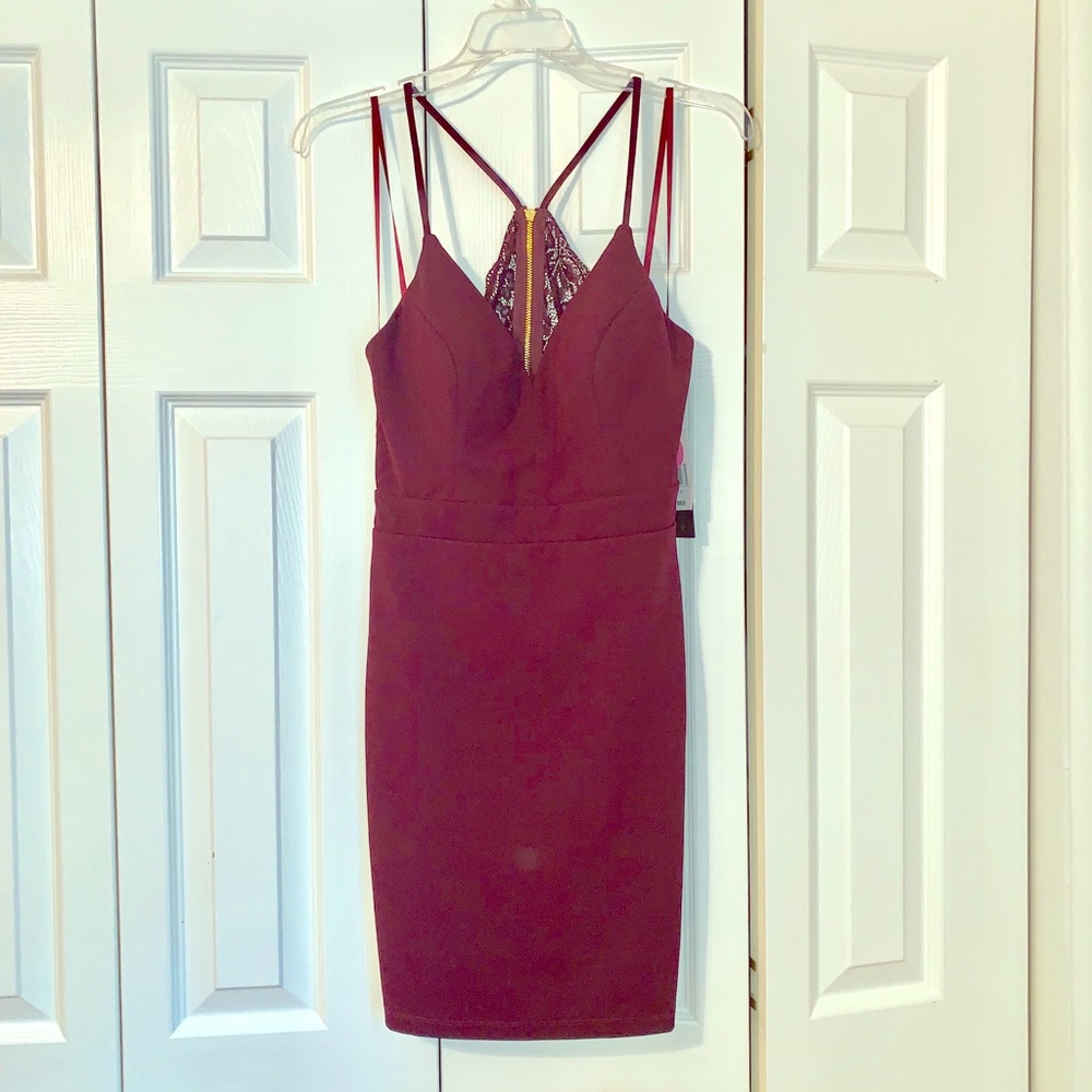Dark Wine Mini Dress